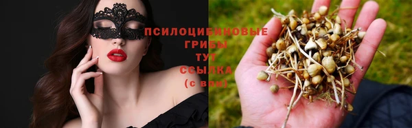 mdma Магас
