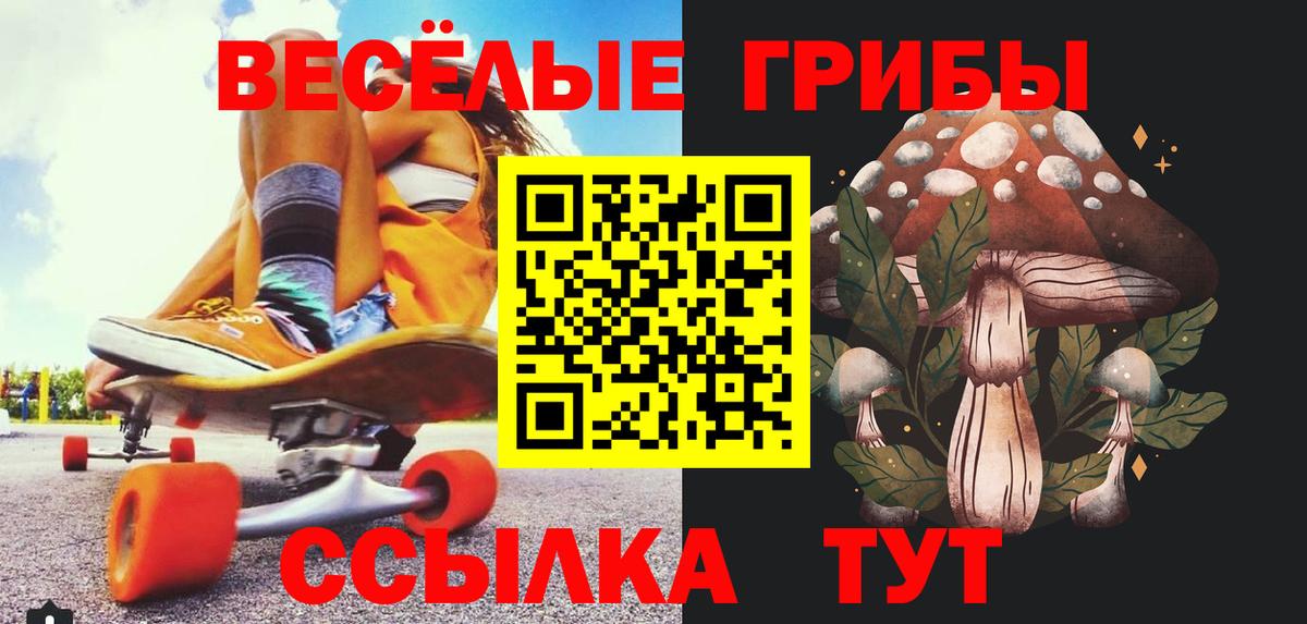 Галлюциногенные грибы прущие грибы Кыштым