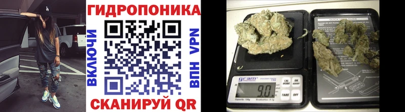 MEGA сайт  Кыштым  Бошки Шишки планчик 